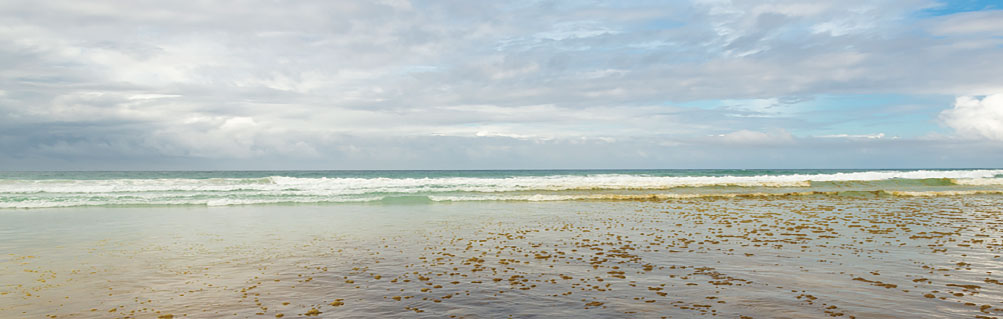 image of ocean with algae bloom