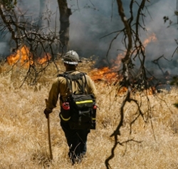 Firefighter watching wildfire