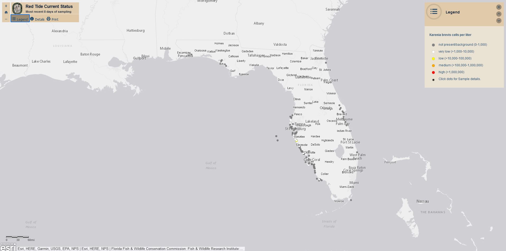 DEP Algal Bloom website map of Florida screenshot "red tide current status" header, map of Florida with several points of red tide areas, mostly on coastal regions of the map