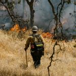 Firefighter watching wildfire