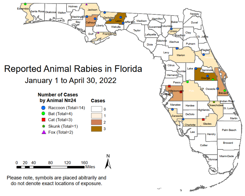 Rabies Surveillance Florida Department Of Health